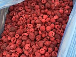 Малина Ціла