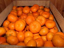 Мандарины сладкими