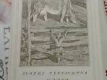 Марко Черемшина Карби. Чічка. Злодія зловили 1977 рік - фото 2