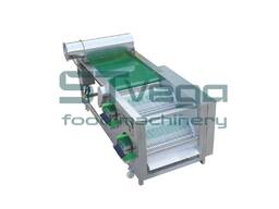 Машина STvega Berry H250 сортування, калібрування круглої ягоди чорниці, брусниці