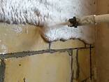 Машинна штукатурка квартир та будинків Київ та область - фото 2