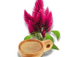 Масло Амаранта (Олія з насіння Амаранту)