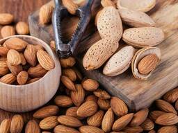 Масло миндальное РАФ. ФАРМ. (Almond OIL Refined PH. EUR)