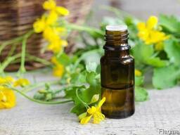 Масляный экстракт Чистотела, 1 литр