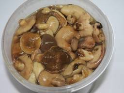 Маслята соленые