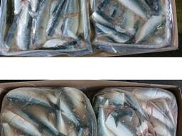 Матиас Сельдь