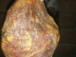 Мацик поліський домашній