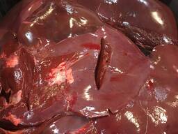 Meat, м'ясо, яловичина, свинина, субпродукти . ..
