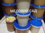 Мед із різнотрaв'я - фото 1