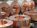 Медная шина М1- 3*30 БТ ШММ - фото 1