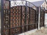 Металеві ворота в Кривому Розі - фото 15