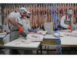 М'ясо оптом від виробника. Напівтуші свинні, елементи та субпродукти