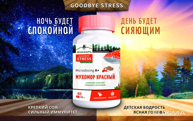 Мухомор Красный — Микродозинг 〉Купить в Украине энтеогенный гриб Amanita Muscaria, капсулы