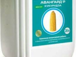 Добрива для кукурудзи Авангард
