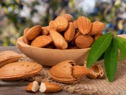 Миндаль. Крупный опт из Узбекистана.