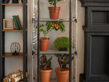 Мини-теплица Sezam XL для квартиры, балкона (с опцией Grow Light) - фото 1