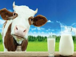 Молоко коровье цельное