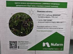 Монітор – унікальний гербіцид проти комплексу бур’янів в посівах пшениці