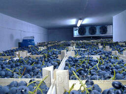 Камера хранения фруктов и ягод