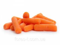 Морковь бейби
