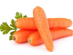 Морковь ОПТОМ из Турции