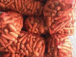 Морковь второго сорта оптом