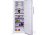 Морозильна камера BEKO RFNE290L21W - фото 2
