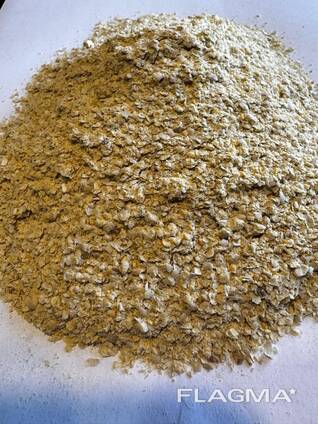 Мучка горохова в биг бегах