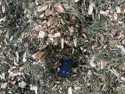 Мульча для лохини хвоя опт