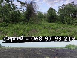 Мульчування території під "Ключ"
