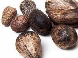 Murumuru Butter (Масло Мурумуру)