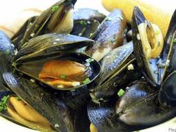 Мидии живые черноморские в ракушке крупные 6-9 см