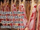 Мясо свинины Одесса купить - фото 1