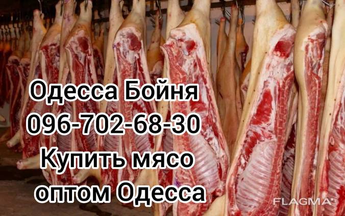 Мясо свинины Одесса купить