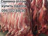 Мясо свинины Одесса доставка - фото 1