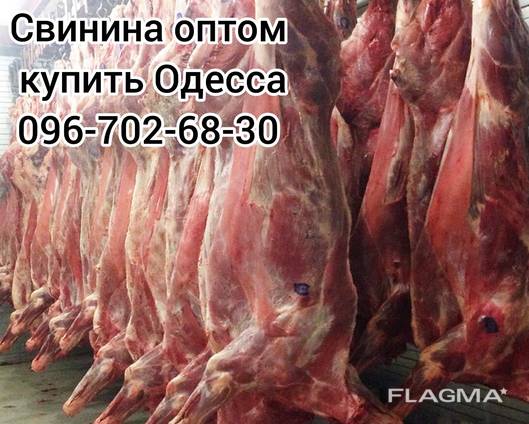 Мясо свинины Одесса доставка