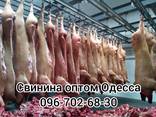 Мясо свинины Одесса доставка - фото 3