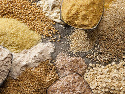 Закупает оптом крупы в ассортименте