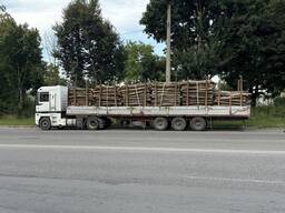 Надаємо послуги лісовозом