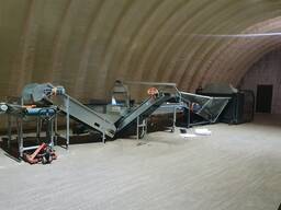 Надаємо послуги в сортуванні та пакуванні в шиту сітку овочів.