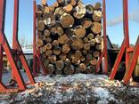 Надам послуги лісовоза перевезень - фото 1