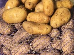 Насіннєва картопля (Solana) Гранада, 2 репродукції.
