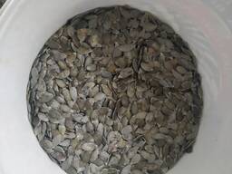 Насіння голонасінного гарбуза тыквы