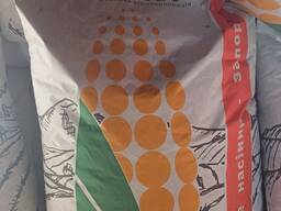 Насіння кукурудзи