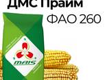 Насіння кукурудзи ДМС Прайм ФАО 260 Маїс Дніпро