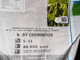 Насіння кукурудзи СИ Чорінтос