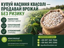 Насіння квасолі на продаж. Гарантія викупу врожаю