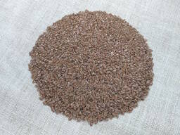 Насіння льону олійного Північна Зірка, еліта