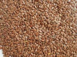 Насіння льону, сорт- Бінго, Lembke (Germany) коричневий маслічний.