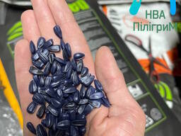 Насіння соняшнику ARIZARO. Новинка сезону